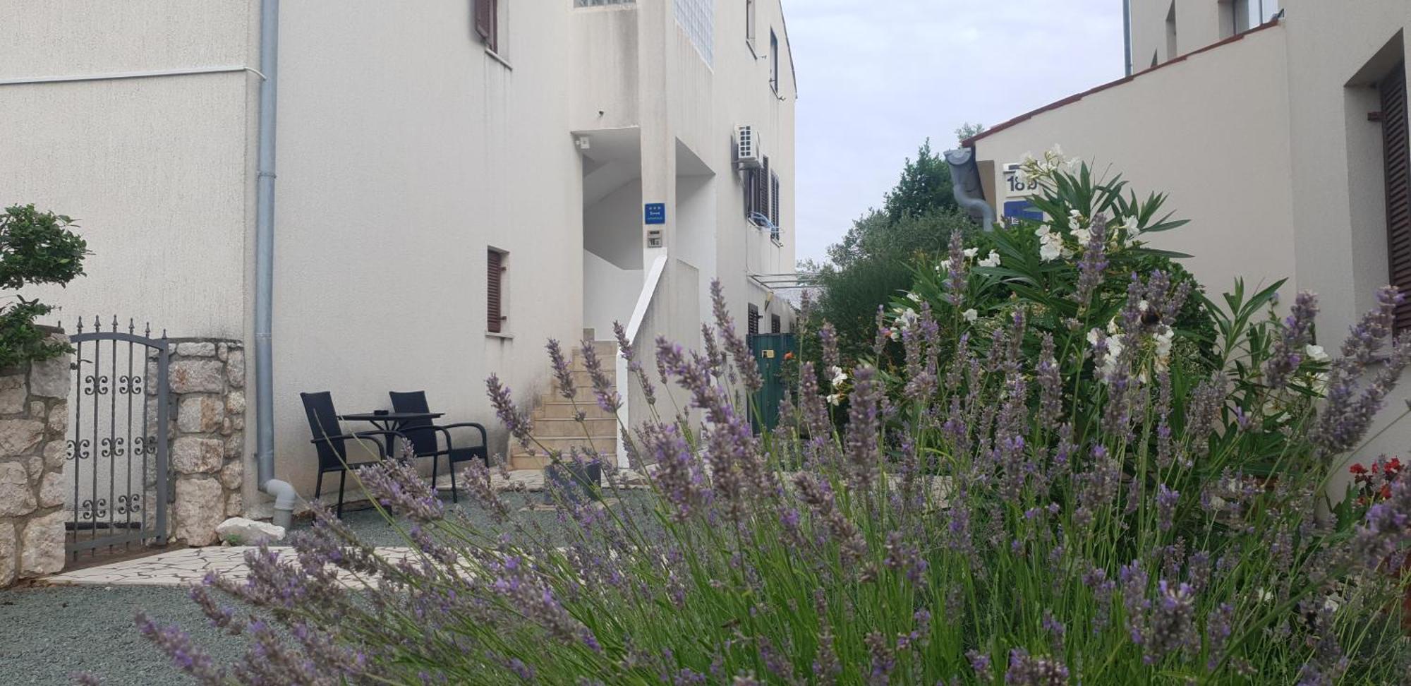 Apartment Kristian Cres Εξωτερικό φωτογραφία